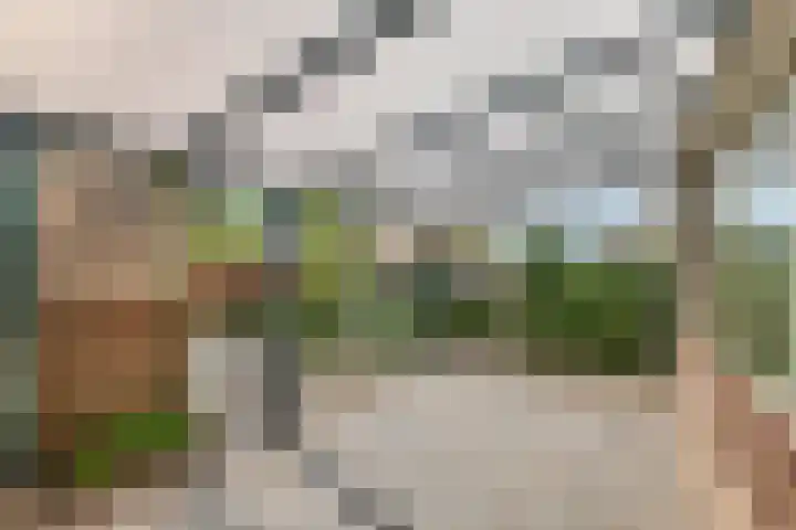 Anna Paulownastraat 4 Geldermalsen thumbnail 9