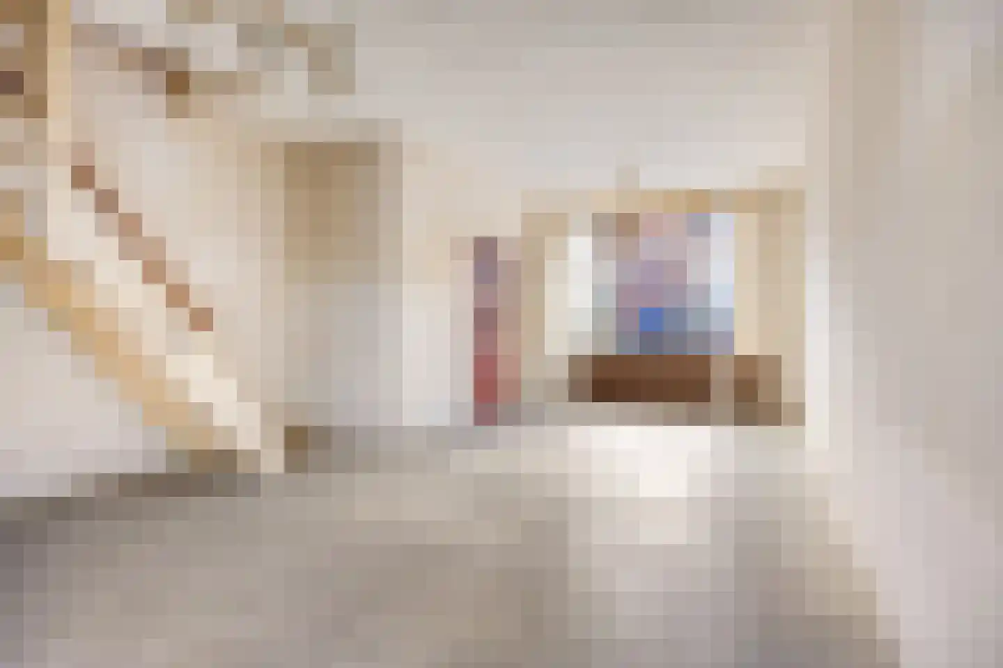 Anna Paulownastraat 41 Leiden thumbnail 4