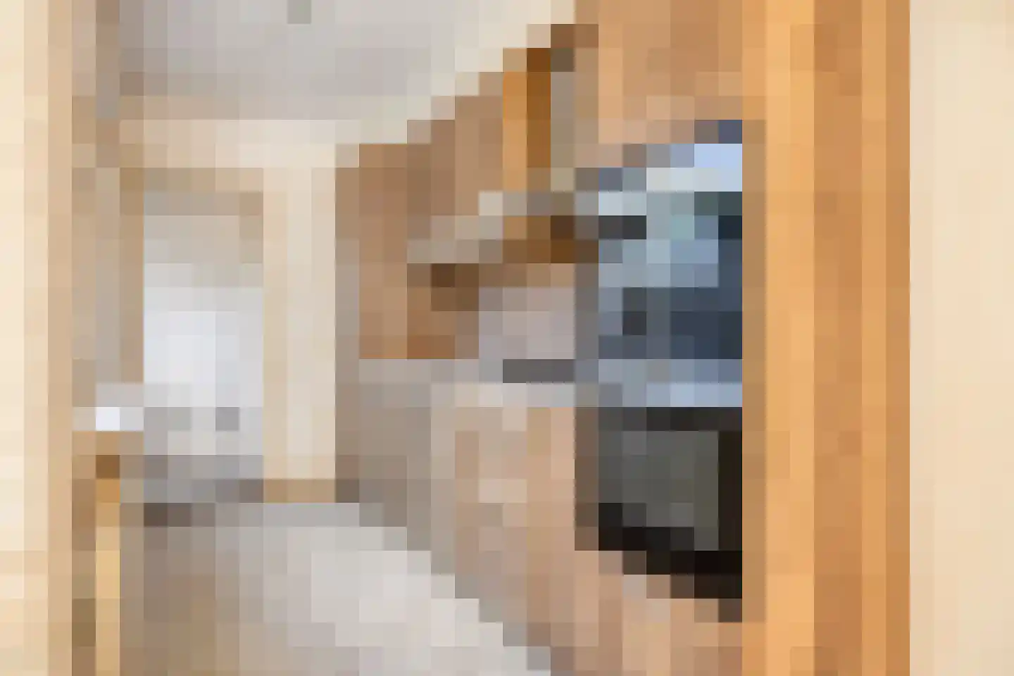 Anna Paulownastraat 41 Leiden thumbnail 5