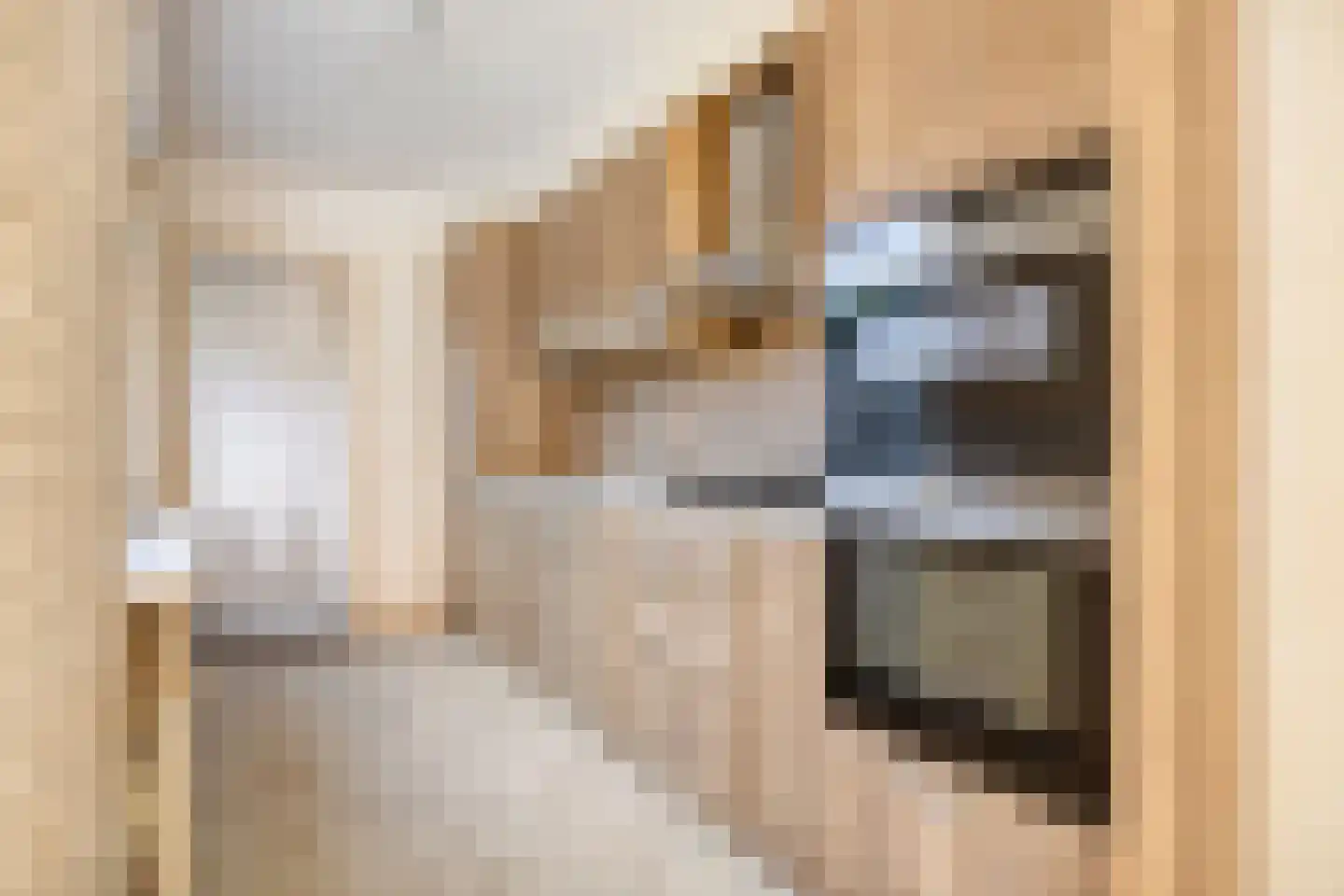 Anna Paulownastraat 41 Leiden thumbnail 6