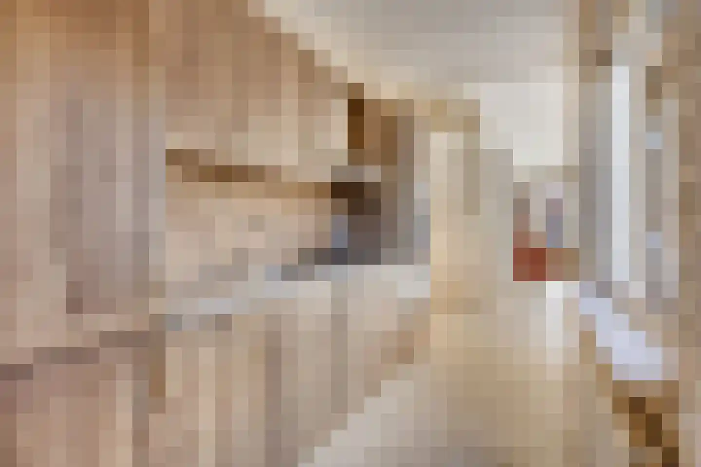 Anna Paulownastraat 41 Leiden thumbnail 7