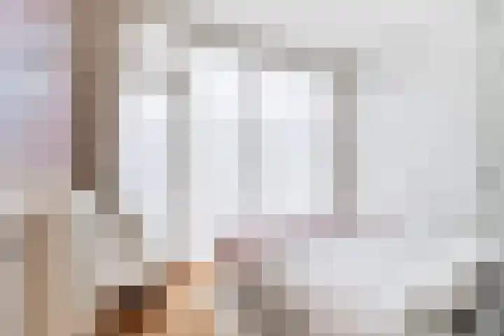 Anna Paulownastraat 43 Den Haag thumbnail 14