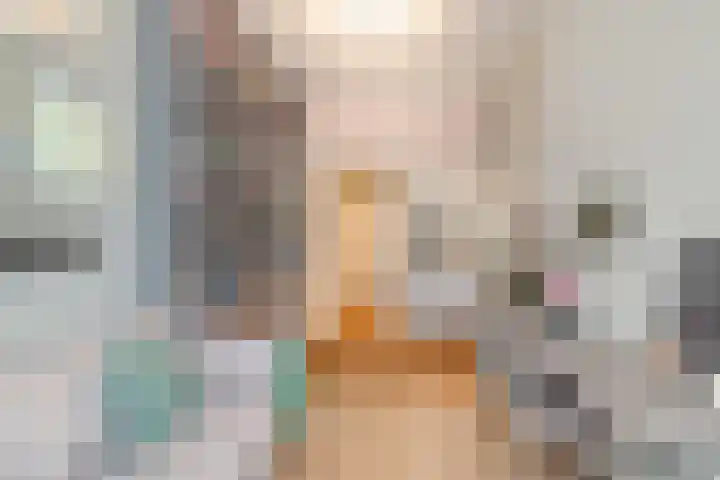 Anna Paulownastraat 43 Den Haag thumbnail 19
