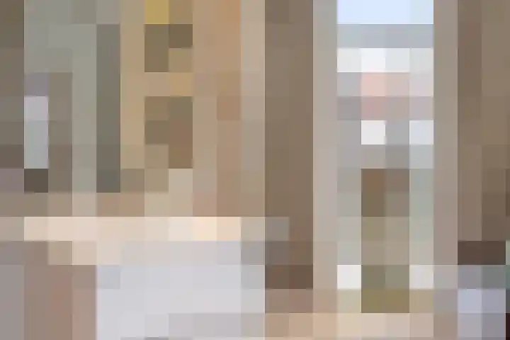 Anna Paulownastraat 43 Den Haag thumbnail 20