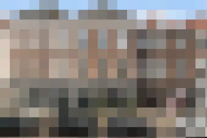 Anna Paulownastraat 43 Den Haag thumbnail 26