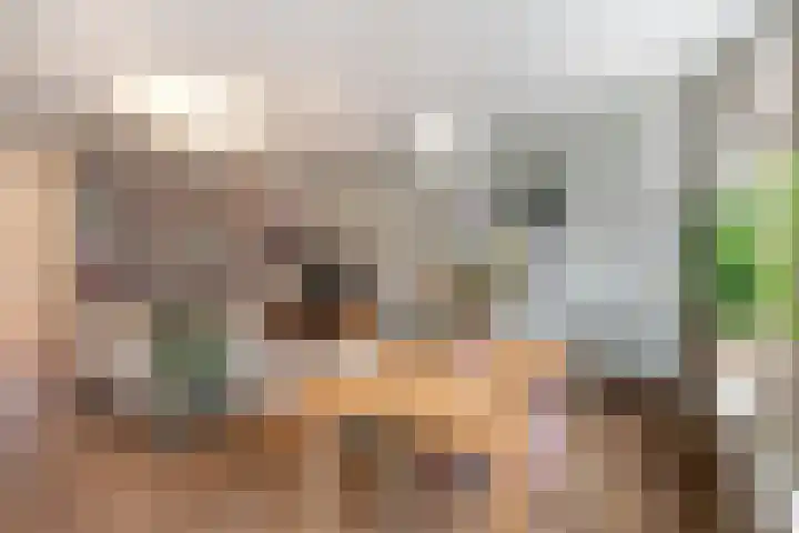 Anna Paulownastraat 43 Den Haag thumbnail 8