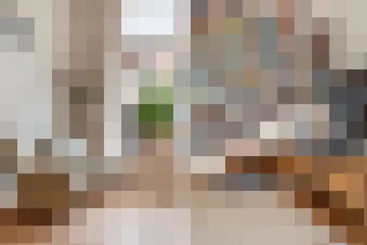 Anna Paulownastraat 43 Den Haag thumbnail 9