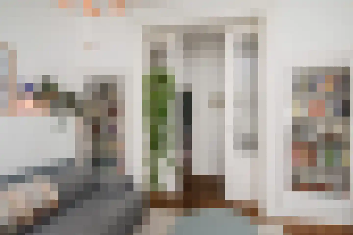 Anna Paulownastraat 49 A Den Haag thumbnail 10