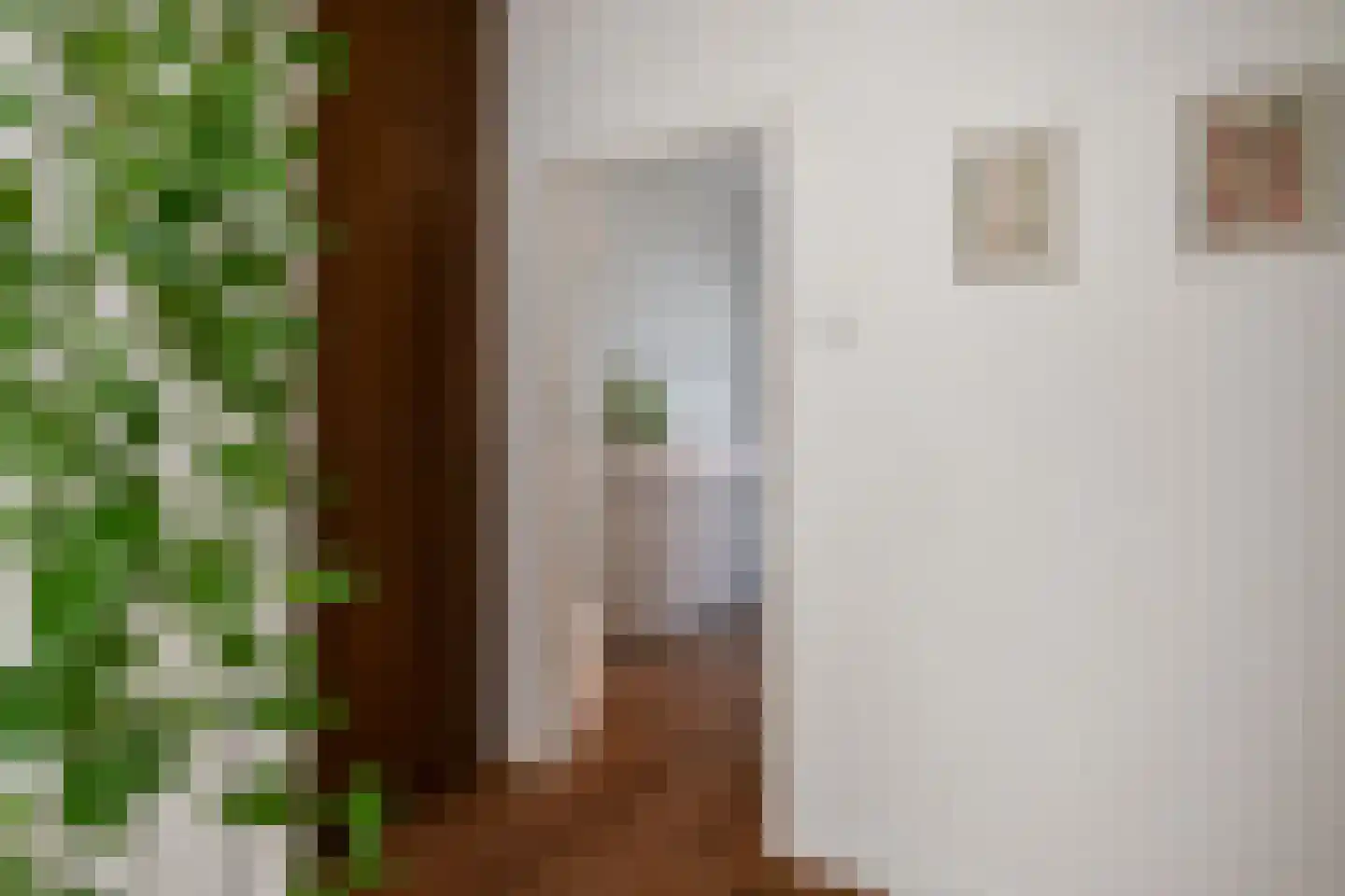 Anna Paulownastraat 49 A Den Haag thumbnail 11