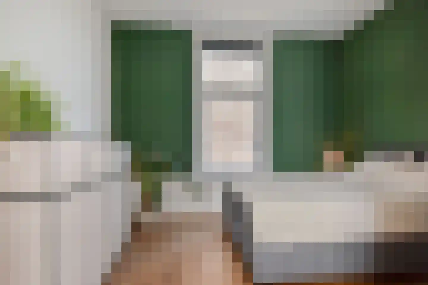 Anna Paulownastraat 49 A Den Haag thumbnail 12