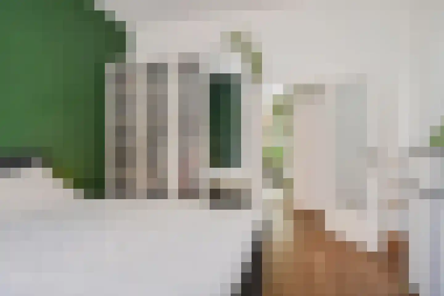 Anna Paulownastraat 49 A Den Haag thumbnail 13