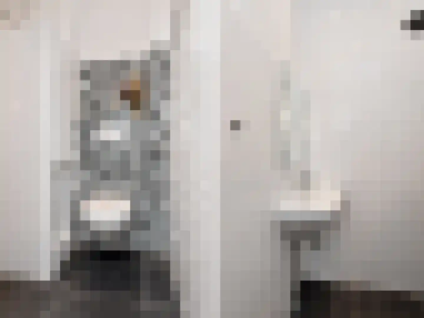 Anna Paulownastraat 49 A Den Haag thumbnail 15