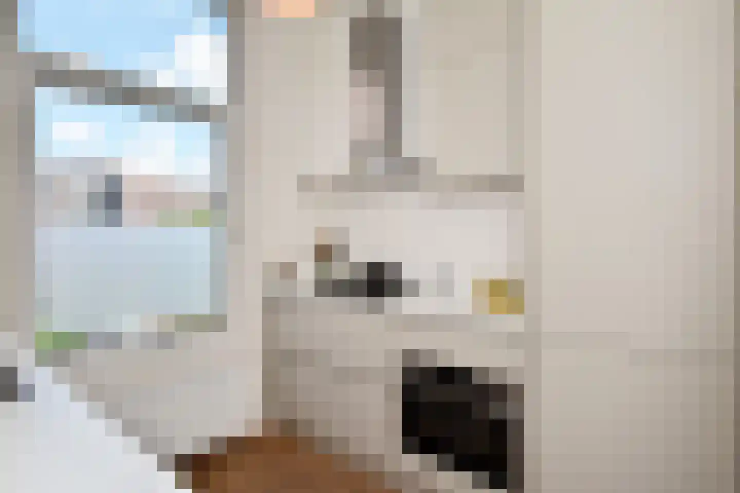 Anna Paulownastraat 49 A Den Haag thumbnail 18