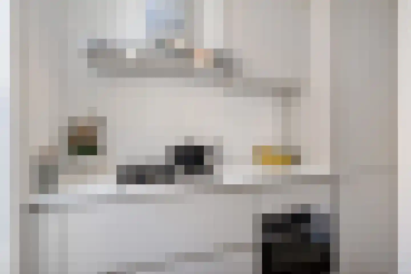 Anna Paulownastraat 49 A Den Haag thumbnail 20