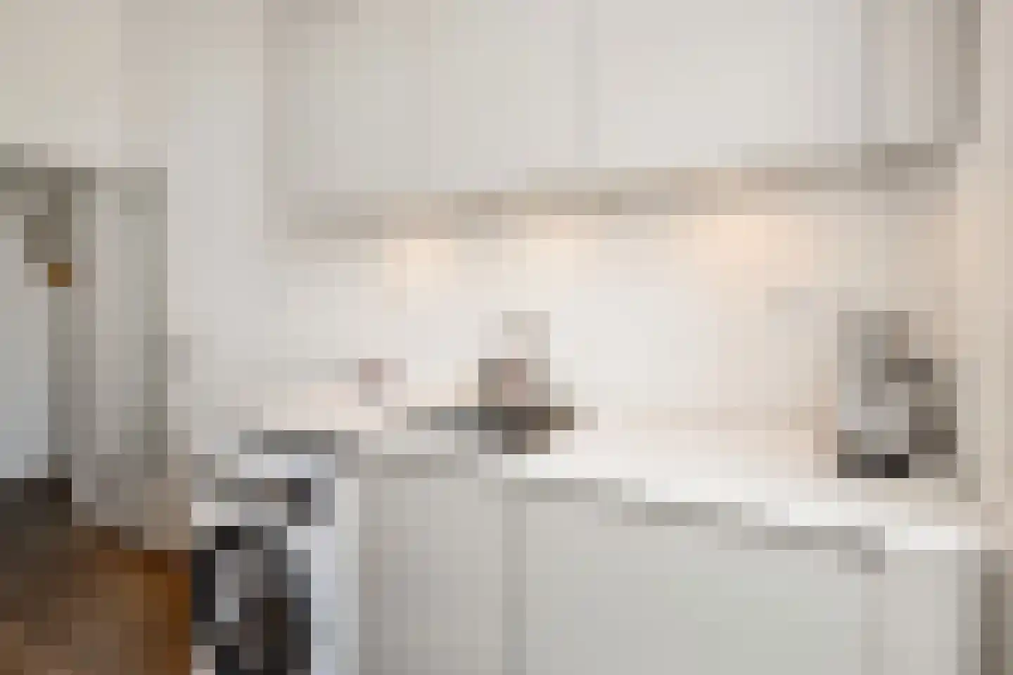 Anna Paulownastraat 49 A Den Haag thumbnail 21