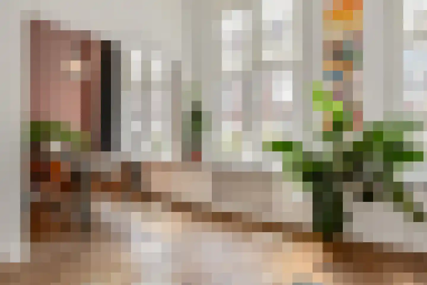 Anna Paulownastraat 49 A Den Haag thumbnail 6