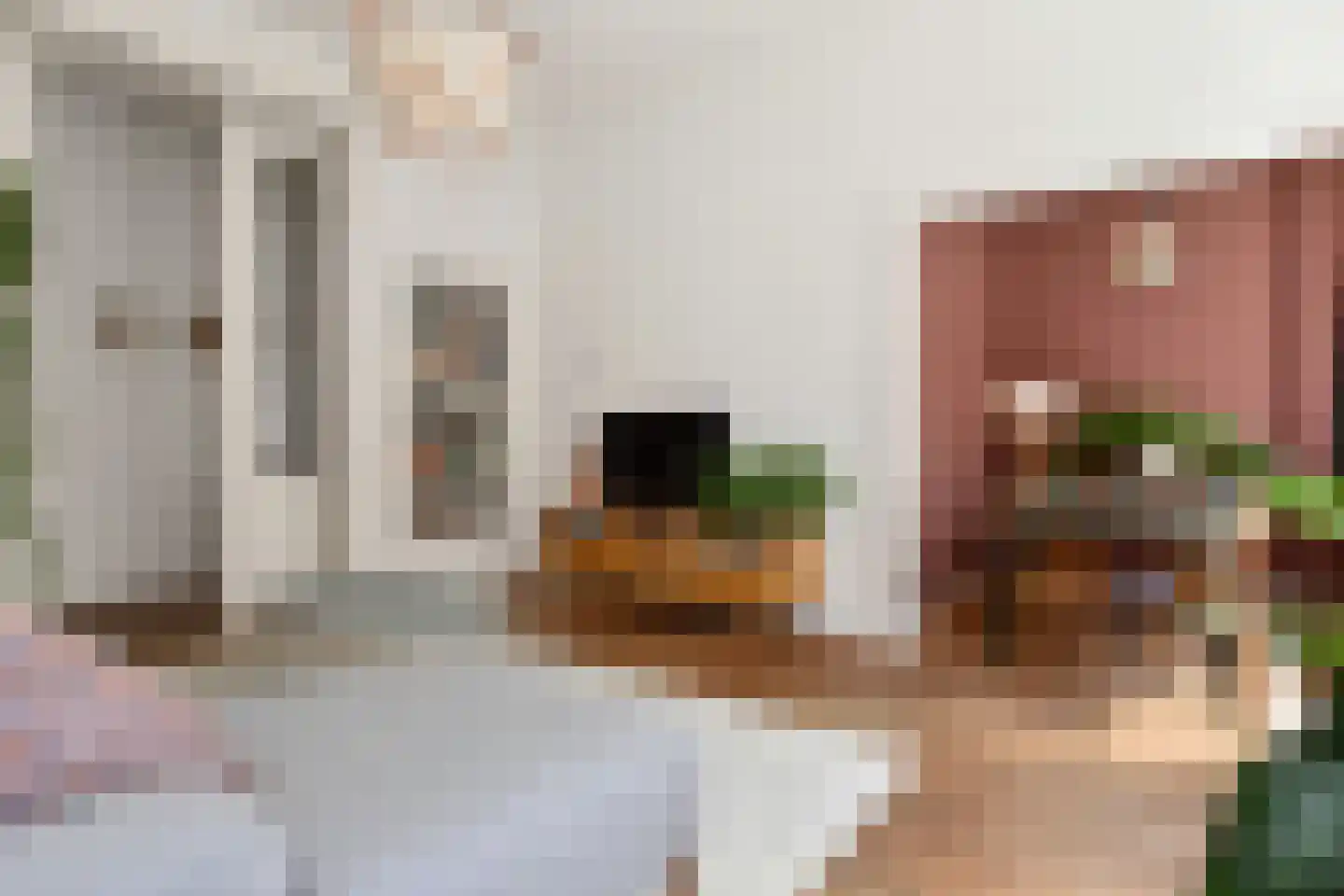 Anna Paulownastraat 49 A Den Haag thumbnail 8