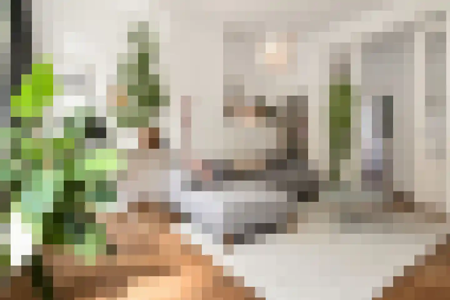 Anna Paulownastraat 49 A Den Haag thumbnail 9