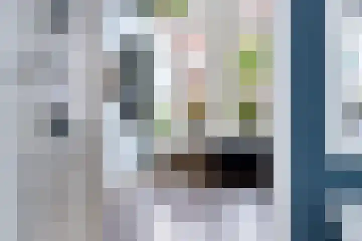 Anna Paulownastraat 50 Groningen thumbnail 11