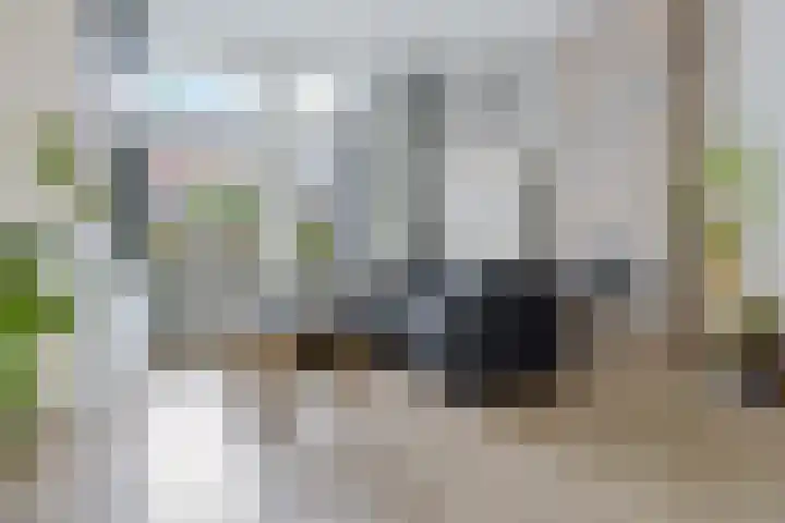 Anna Paulownastraat 50 Groningen thumbnail 13