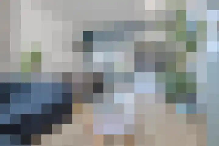Anna Paulownastraat 50 Groningen thumbnail 14