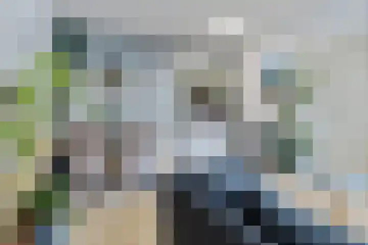 Anna Paulownastraat 50 Groningen thumbnail 15