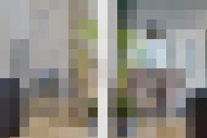 Anna Paulownastraat 50 Groningen thumbnail 17