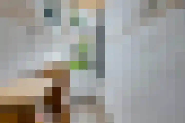 Anna Paulownastraat 50 Groningen thumbnail 20