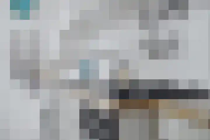 Anna Paulownastraat 50 Groningen thumbnail 21