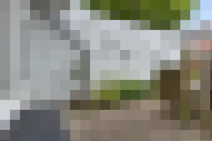 Anna Paulownastraat 50 Groningen thumbnail 31