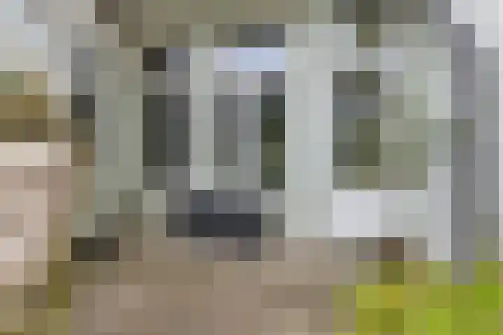Anna Paulownastraat 50 Groningen thumbnail 32