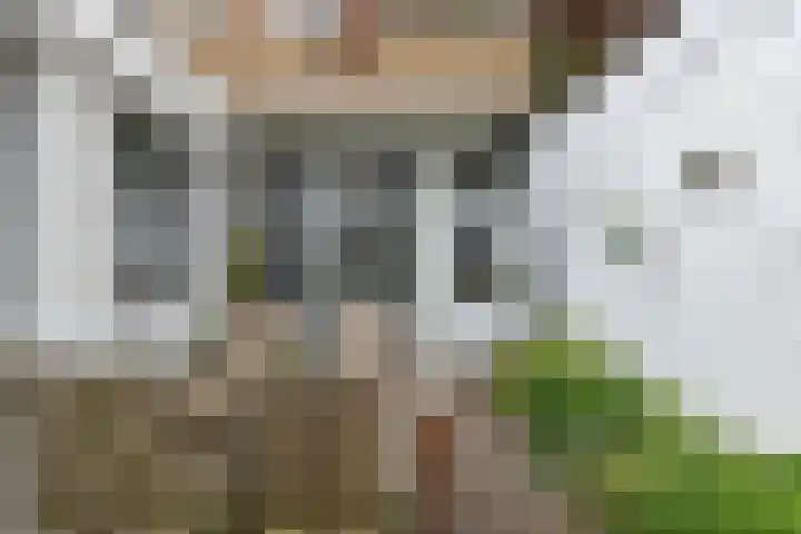 Anna Paulownastraat 50 Groningen thumbnail 33