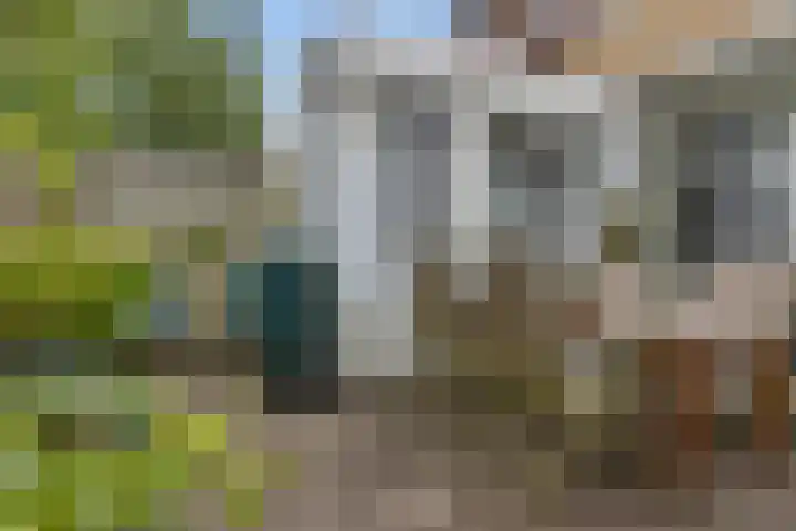 Anna Paulownastraat 50 Groningen thumbnail 34