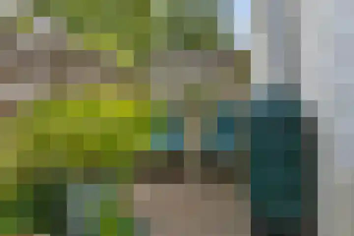 Anna Paulownastraat 50 Groningen thumbnail 35