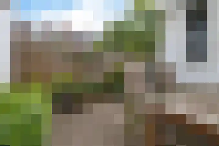 Anna Paulownastraat 50 Groningen thumbnail 36