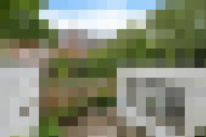 Anna Paulownastraat 50 Groningen thumbnail 37