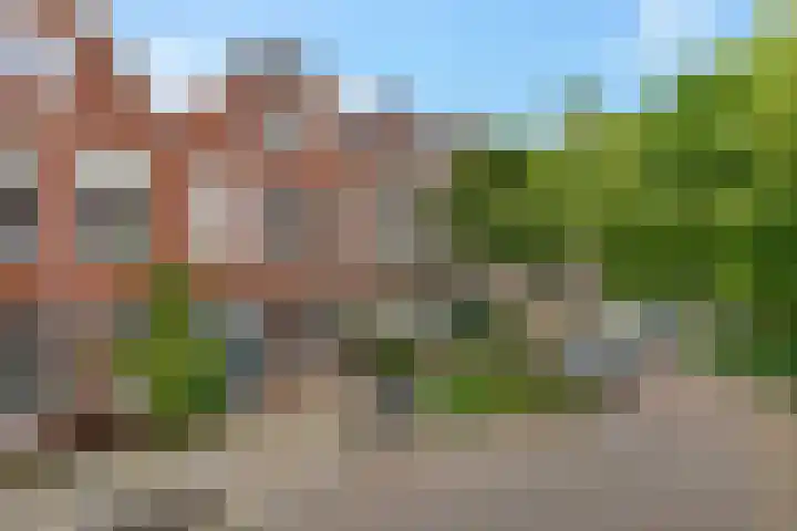 Anna Paulownastraat 50 Groningen thumbnail 40