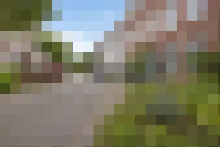Anna Paulownastraat 50 Groningen thumbnail 8