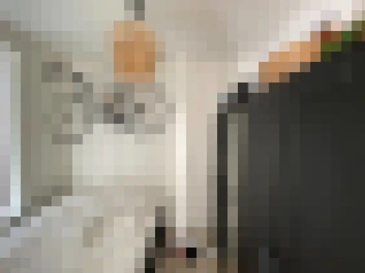 Anna Paulownastraat 57 Groningen thumbnail 4