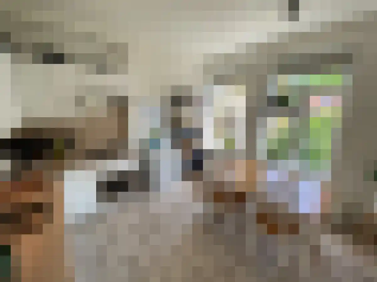 Anna Paulownastraat 57 Groningen thumbnail 5
