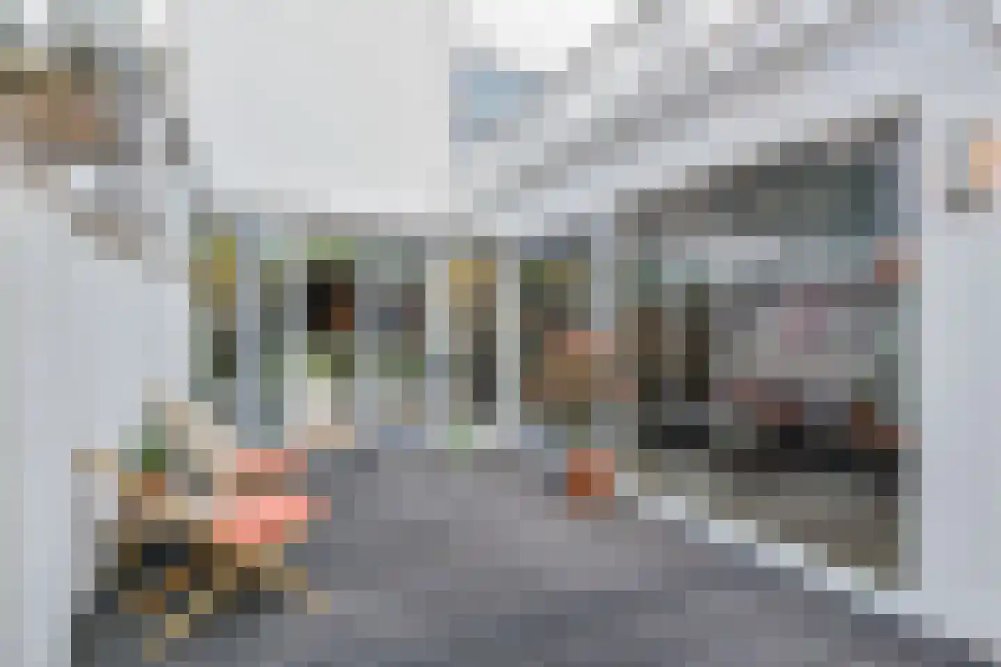 Anna Paulownastraat 59 A Den Haag thumbnail 14