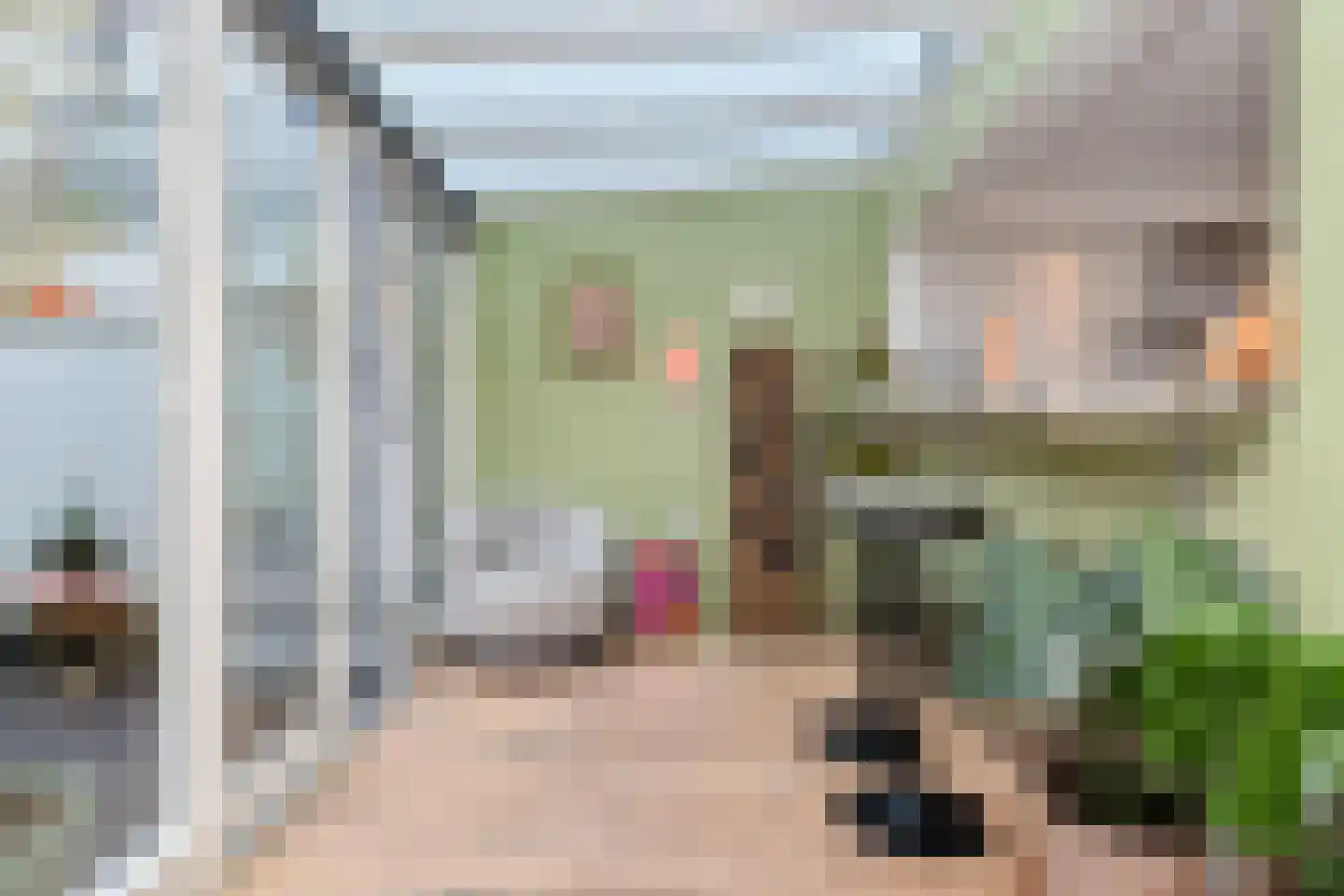 Anna Paulownastraat 59 A Den Haag thumbnail 15