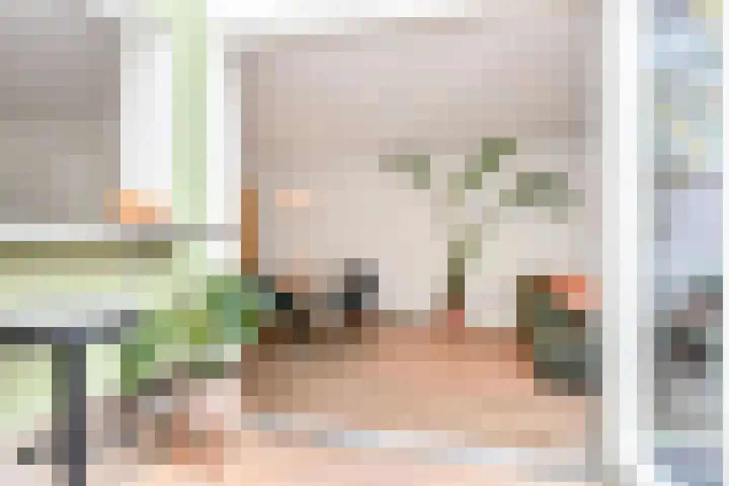 Anna Paulownastraat 59 A Den Haag thumbnail 17