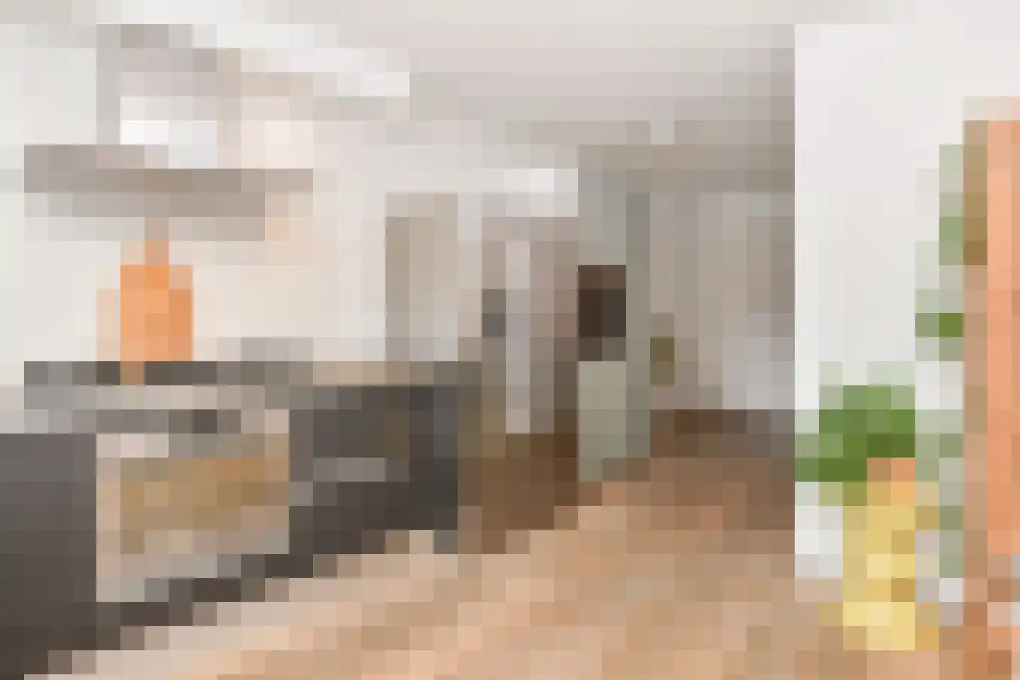 Anna Paulownastraat 59 A Den Haag thumbnail 24