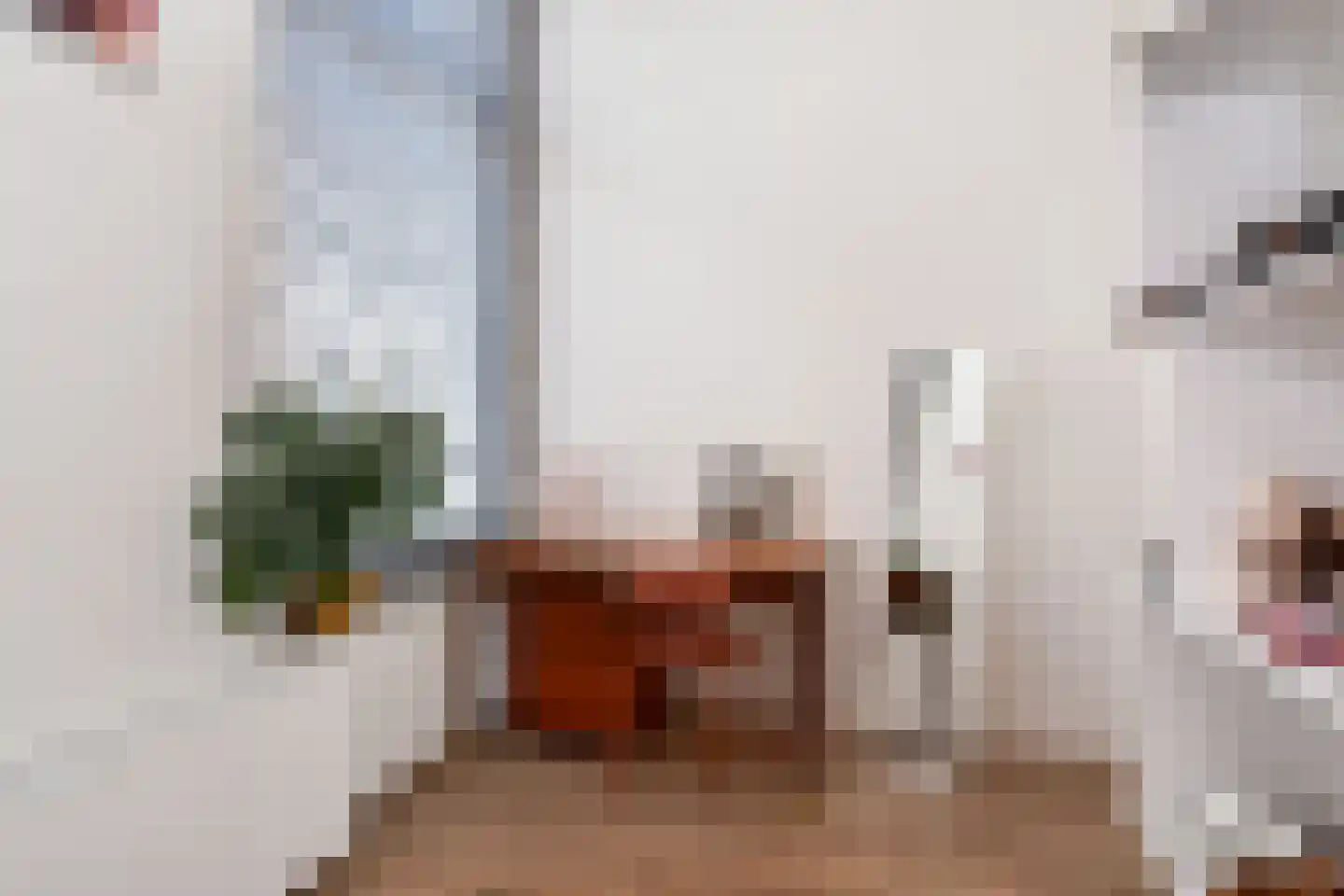 Anna Paulownastraat 59 A Den Haag thumbnail 33