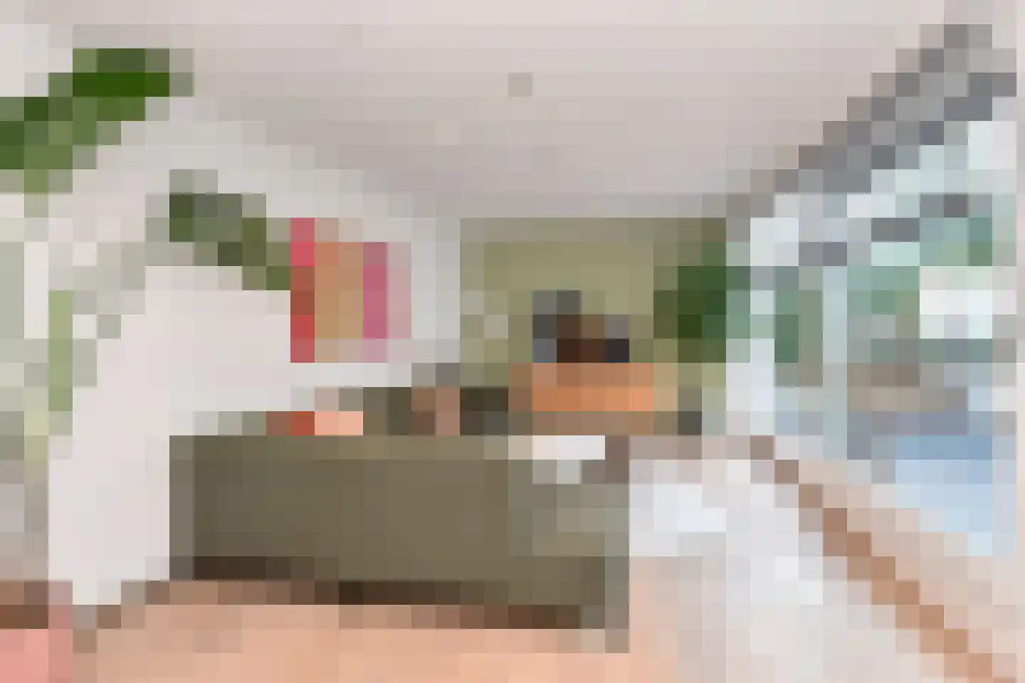 Anna Paulownastraat 59 A Den Haag thumbnail 7
