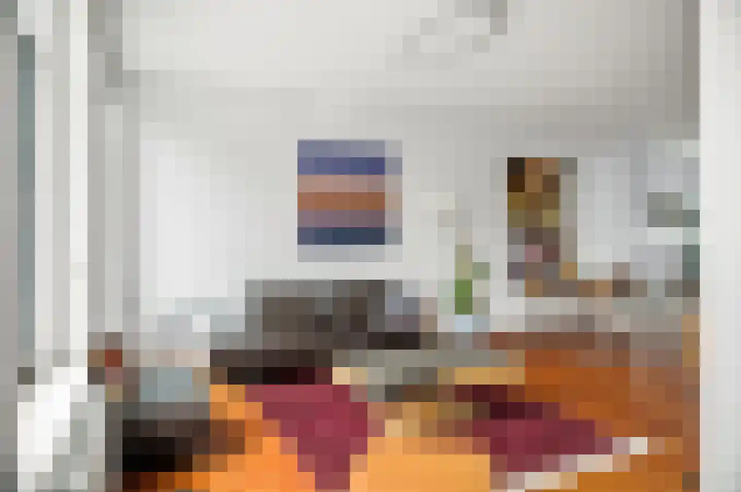 Anna Paulownastraat 59 B Den Haag thumbnail 10