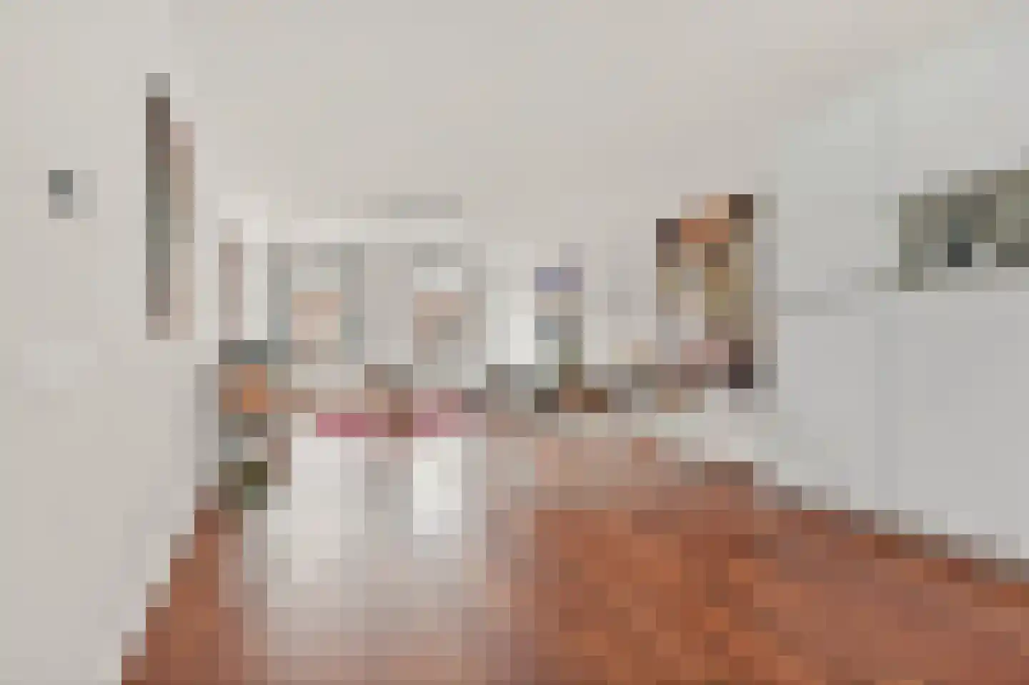 Anna Paulownastraat 59 B Den Haag thumbnail 17