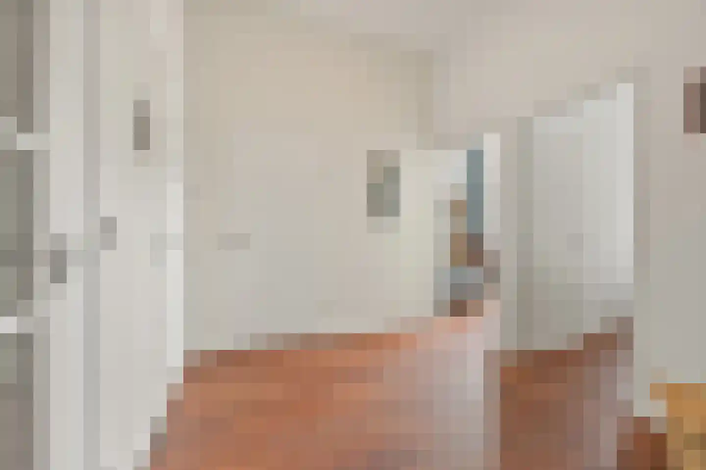 Anna Paulownastraat 59 B Den Haag thumbnail 28