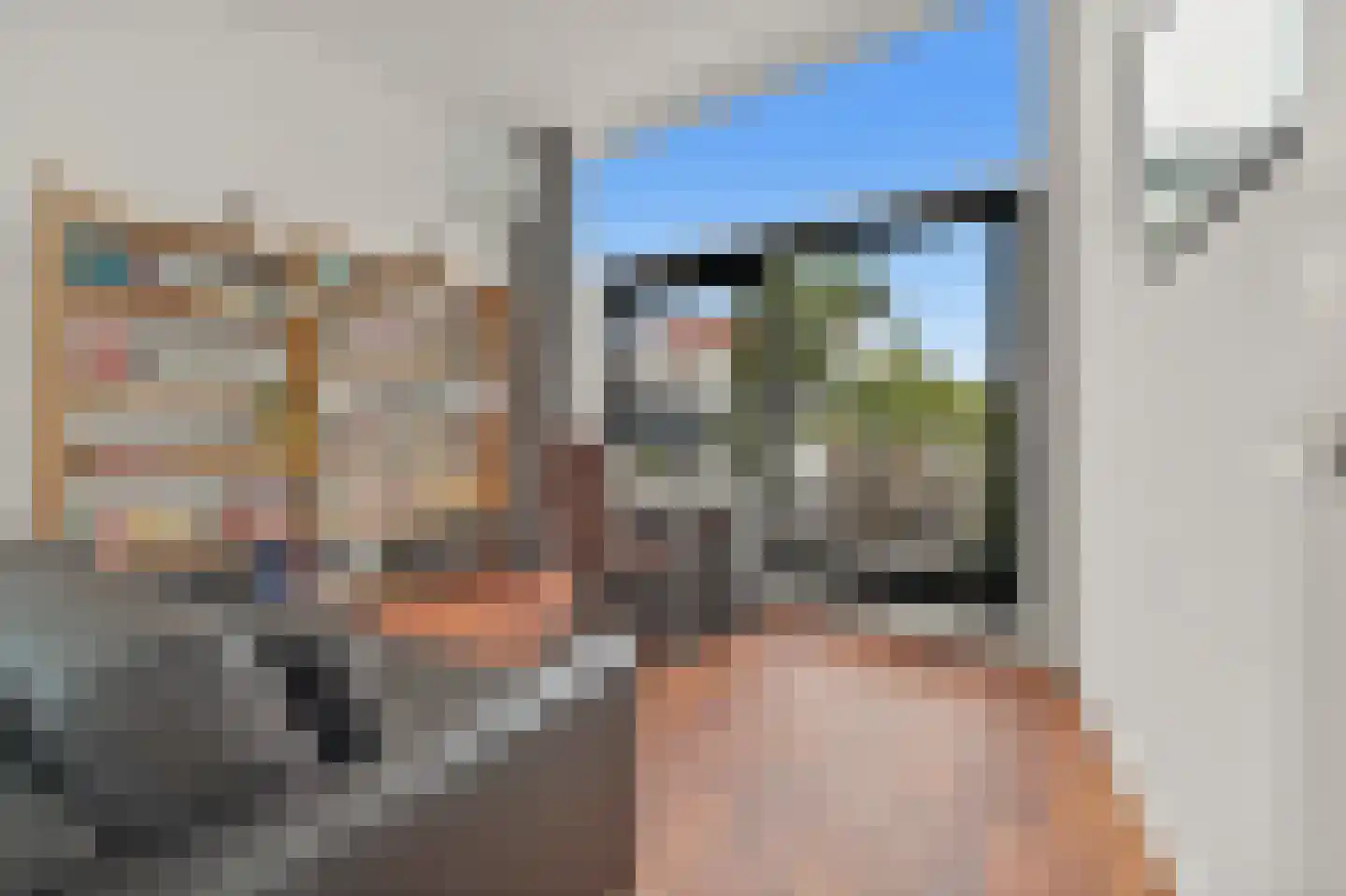 Anna Paulownastraat 59 B Den Haag thumbnail 29